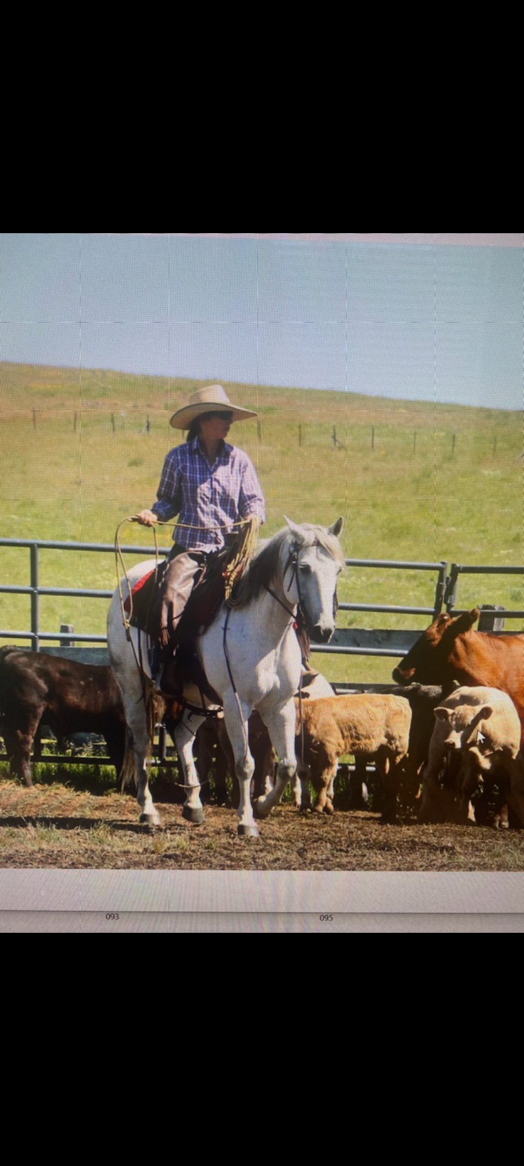 Abby Sale, horse trainer